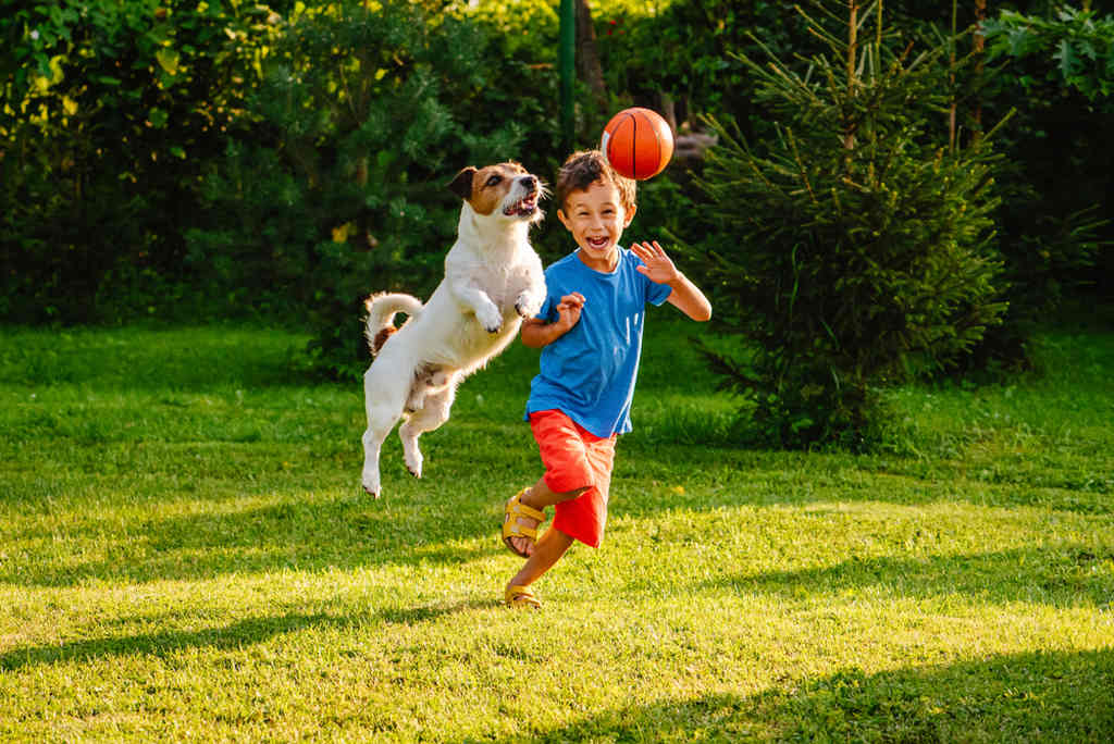 vantagens do pet place em condominio